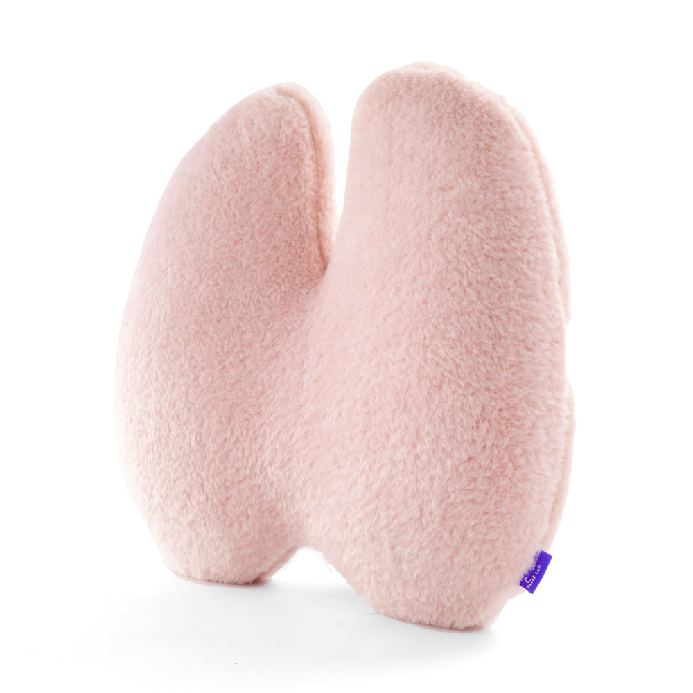 Back Relief Lumbar Pillow - Image 37
