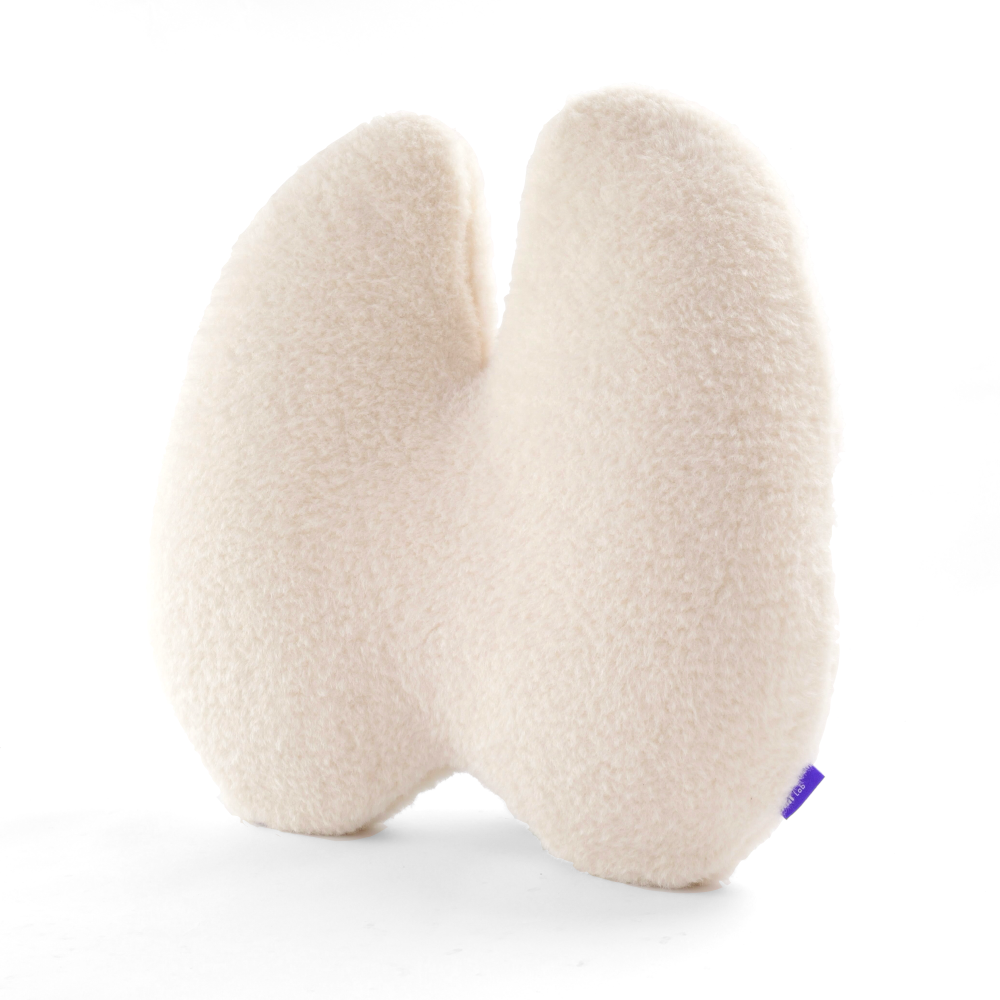 Back Relief Lumbar Pillow - Image 38