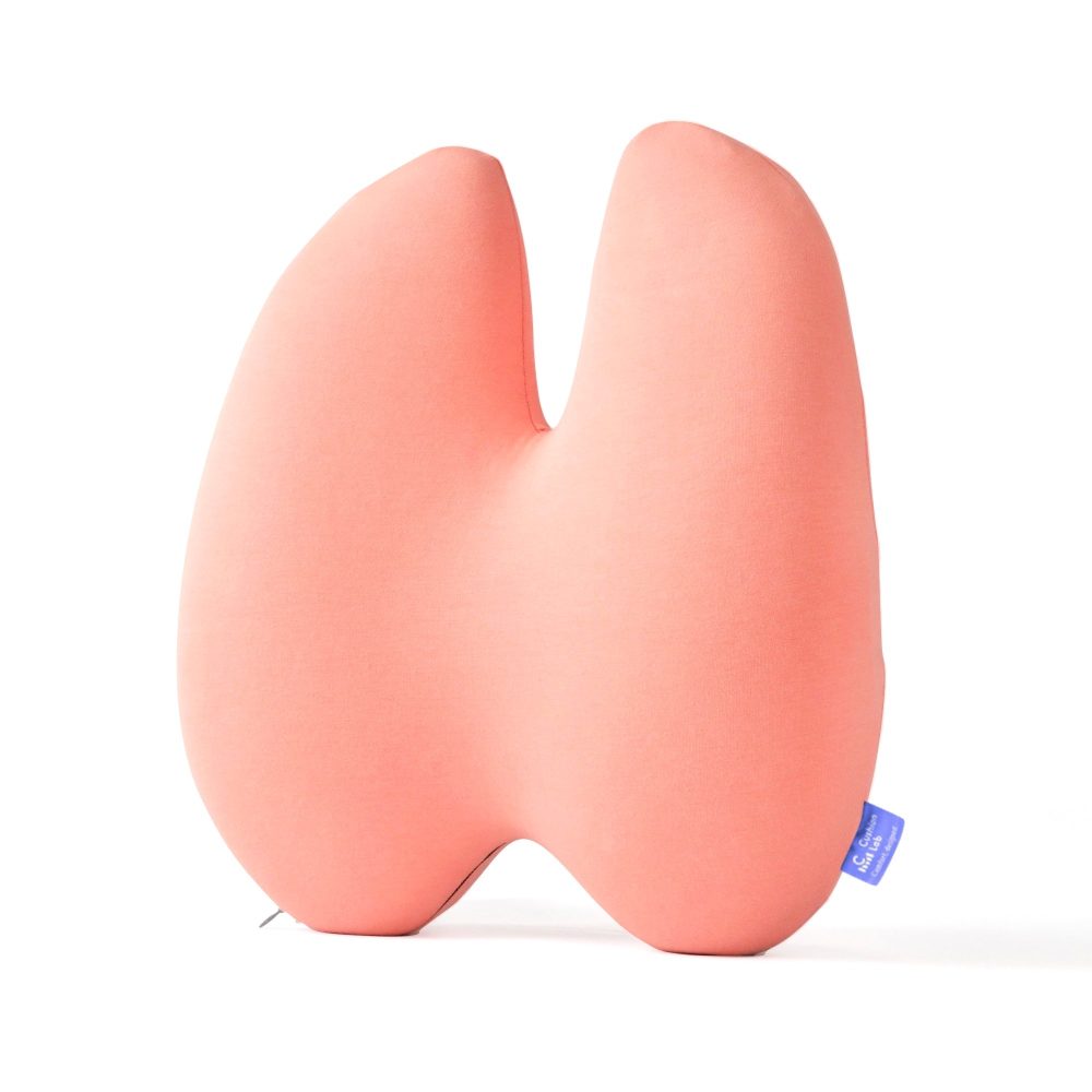 Back Relief Lumbar Pillow - Image 33
