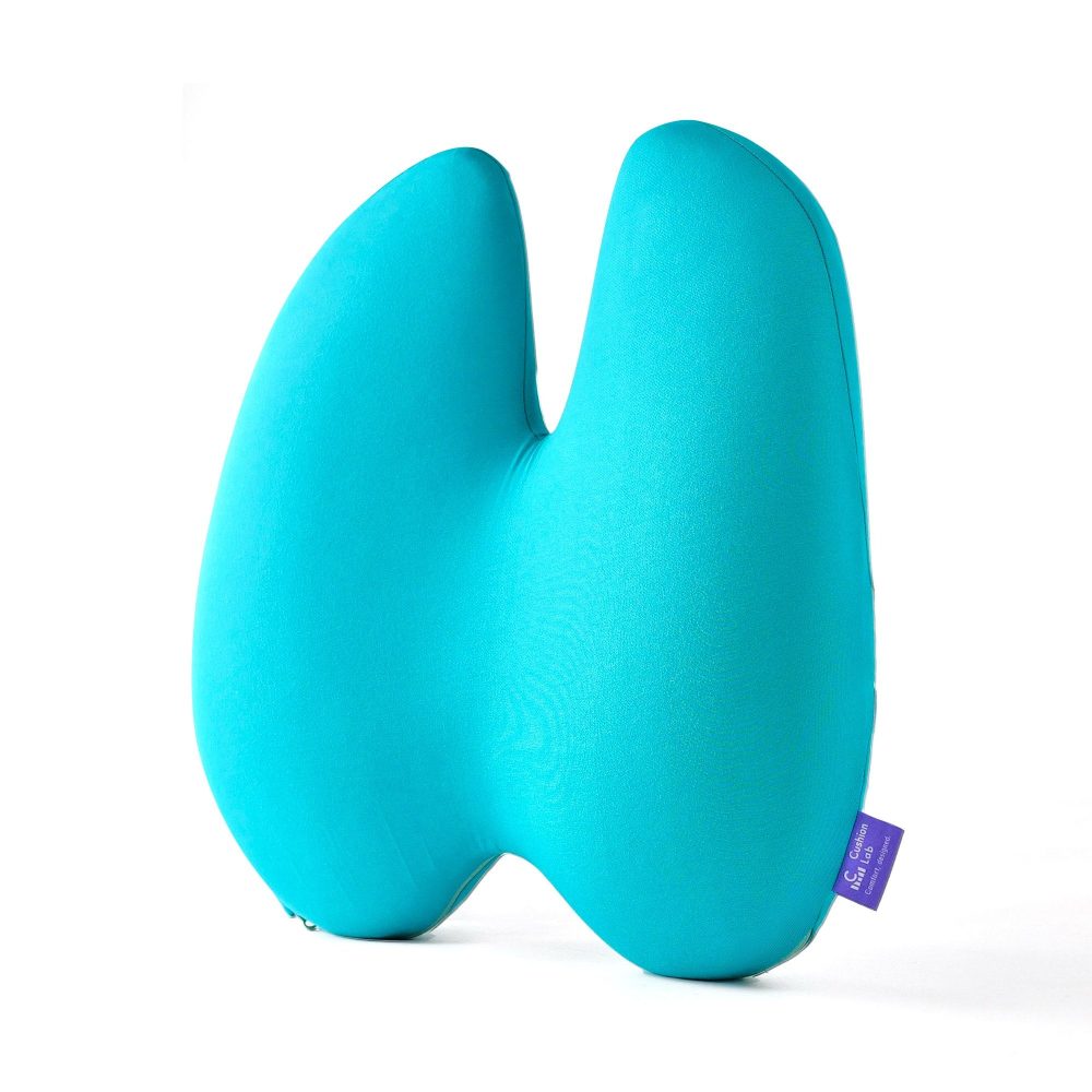 Back Relief Lumbar Pillow - Image 24