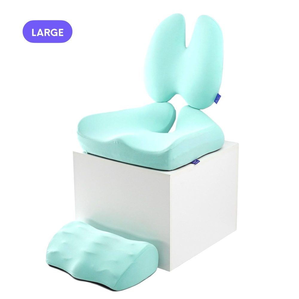 Ultimate Sitting Comfort Bundle - Image 49